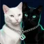 Coin image for 5dza8Pghevn9bWzRhjEx6JgckogWM7sviCqaWnYk2cWN