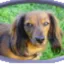 Coin image for 5eN7fguyWA7qTML12n8GFCvMkzNkGTYXeYkpR8oLpump