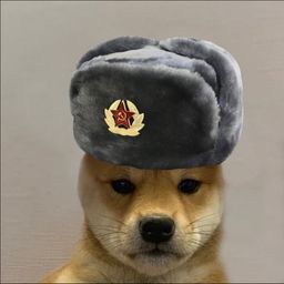 Coin image for 5fAqL9CxjEoKHbdrXa1LgWUqwj2vDMiniCKYYoy6pump