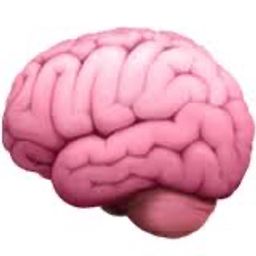 $BRAIN