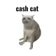 Coin image for 5fdAjQgMv8U4yx6u68muC7cKBhQUtJL3fZrYft1epump