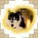 Coin image for 5fmmMfU7KKzk8L8b5FoZsEk8FPFhT6HXDekmyCGHpump