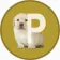 Coin image for 5iJ4dF1TGWZYARWq6TGruos39QAZRtaeCKNoiBTHpump