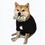 Coin image for 5iftGPJidr41nU84Vkae5ckMbrzYnSdMLaKaAfEsQmzU