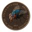 Coin image for 5jbDdD4yQPqZNwq9wYmK3MUcxNY7obLr11h6wwSupump