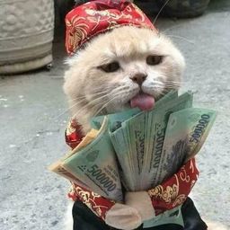 Coin image for 5k7ECSR5CYxvzaj4vNbrDMHtJS58L2STNfxU7dR7pump