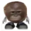 Coin image for 5kmVJyBSh8DQrVcvPe3nt6y1fWFpjApZ2LT6HVWbpump
