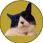 Coin image for 5m5C4YVq8HCgsTVvaW1oiNoSbz4UzSUEZBa9LWKhpump
