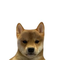 Coin image for 5mKqhmPvNrbAwUevFouNaZ6wrNDtxfVNAt4wgM3Dpump