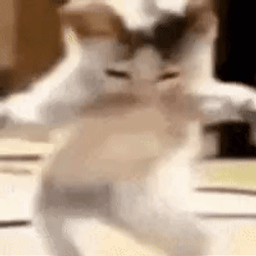 Coin image for 5mgNeDTrvdwbN3scSUyob1e8zht4oRyxw5m3sLRF2XAW