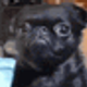 Coin image for 5nTLpmFFbCNNBNK9cjNiZzpqRf6HGCKfHU6dErsBpump