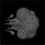 Coin image for 5oH1GvFWefhZREcwh9WawVwUVTGKhAEBKJBxCdAmpump