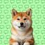 Coin image for 5oje3mxTmf9Z5QMcG4AM9AVxkHM4Z4GM9VcraZFYpump