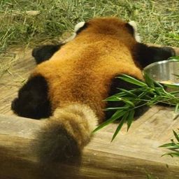 Coin image for 5rDUVpy2TYMetusoGEhasfnZcJ8Ku6M2FcGQd2fRpump