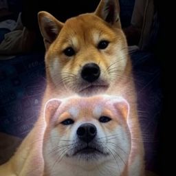 Coin image for 5rfSucPinxBdggc841NhnFoLo5xzEeASsUVvezpGpump