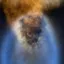 Coin image for 5rn1abhHJJv2HfBgdJjQCYJzifuDbLBLGkVbJ4t8pump
