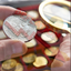 Coin image for 5skxhhT6jrXn8rAHu33CsUpLA2qjbVFdpDcHWWBDpump