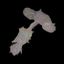 Coin image for 5spXeT1nAYWpYXFcn2vZegvkbQectvF226bxFaatpump