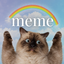 Coin image for 5t3H4jnDVGkxkJYgBy4vTiNLjPzwDCawiznom3U6pump