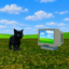 Coin image for 5taBjfSY7LtKn7X3GTVCxrXoZSrmEVQvGuVyWWmC5YtW