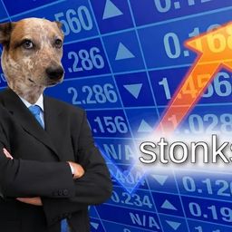 Coin image for 5tyXDPPdrCE6sZZGo5ScnMfZPThTjidKNeBHPfCVpump