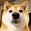 Coin image for 5u2xzieWsJYDfq8tts6q54oEqvhXu8tiR9h2sZropump