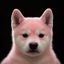 Coin image for 5u5NBuGLNJMvCuuHiFTwbqJx4mgkF8M8Qgsd7s1hpump