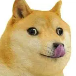 Coin image for 5uT43sZHeRdsnc5BGojShSVCozcPspXaLwj7Twkppump