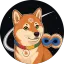 Coin image for 5vH9zsNKjr3SzCdsLMHnXjnDtq4udwDgJfCVnLFcVd7t
