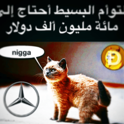 Coin image for 5vNZmXZST7FkddHFusEQ7xJk4eMJ9QPc8HrZhFsDpump