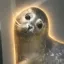Coin image for 5wR7zVatzRiBPSXWJqQG62EzcduQvQPQhsqHZM7upump