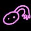 Coin image for 5wgJKGN5cxHscFC6S7C6ZvrWnkJrButnJHboMd8Paz7v