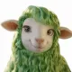 Coin image for 5ydXrzvQe3bziQxdK6WLcnfVPVQoTmUJRuJvS4kupump