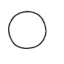 Coin image for 5zUkPwsRqH57rawo7iyZZgNK1Nq1fPRsarY2wxjz4d3W