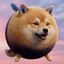 Coin image for 5zx1h49x8L7EoT7n8yfktCgi7QuvEXBTDfp46m1gpump