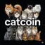 Coin image for 62ArxBFmxfMNQtBGinVvqJBrrTLxcBiC1DMFxDRnkn2u