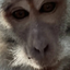 Coin image for 62cH6ask5TyFk9hiXRscgss4Ekp2eJjaqzmdWrELjQjg