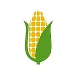 Coin image for 62yJtgbbidzEY2YPCEa4GN3xDbw3BaGfgKyKuEmnnTo7