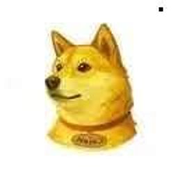 Coin image for 63GDxH9rJv1CssUXNKWfYNryT2WNTqeY5z1uhncWpump