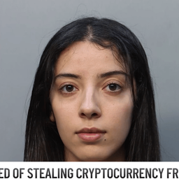 Coin image for 63xf9FeAracwfaFCgaoC6QnDojvsvGYgZ6bctL3Kpump