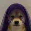 Coin image for 64Xx8piXV9XDCkaPmbpegxL1vWuv8sir94bDTEDrB4kF