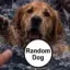 Coin image for 64wpJnbfz6vFDNXKFBF9oEB5NgDdSkMMo8RdRt2gpump