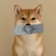 Coin image for 66QpLb9j6Vi4SxaZxCjgFcoifdkGkN83rdpS2XZgpump