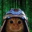 Coin image for 6A8RCCvLrYZpctf5WaSsDCBEqhKYpCfgKizqnGeTZzoY