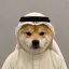 Coin image for 6AESfpNAGx8VyoNetcyevxCq2W9L3q2tLJf8zihdpump