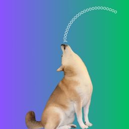 Coin image for 6AqfwWUJRFiPywKdLPt7SN9MiW5r5y9muwwWX1kWpump