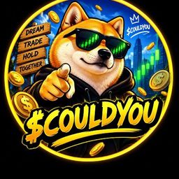 $COULDYOU