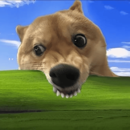 Coin image for 6BeSoAxGFpRBjSvKFa5N9h7EFNsSWBxuMn43KpYZpump