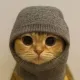 Coin image for 6Bni5rsMdXdJUUtAQgkFWkCUvsjCnQXdWS3WFY8gpump