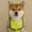 Coin image for 6CHkwkrbpDrGnM5imVyGJ9MN4sMBQDnrd4UQy7Dupump